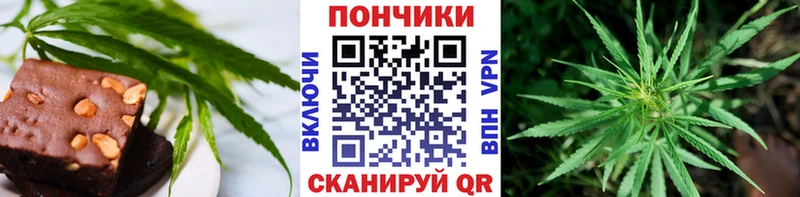 Купить закладки  Новохопёрск  Cannafood конопля 