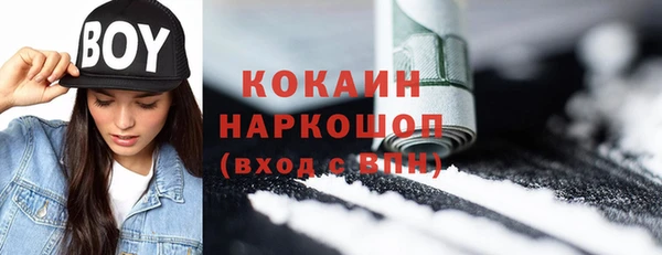 ПСИЛОЦИБИНОВЫЕ ГРИБЫ Бородино