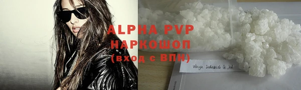 ПСИЛОЦИБИНОВЫЕ ГРИБЫ Бородино