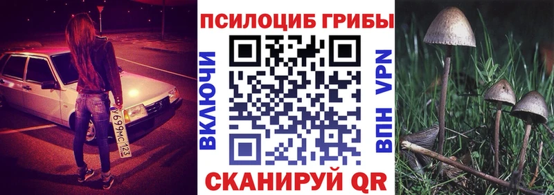 Купить закладки  Новохопёрск  Галлюциногенные грибы мухоморы 