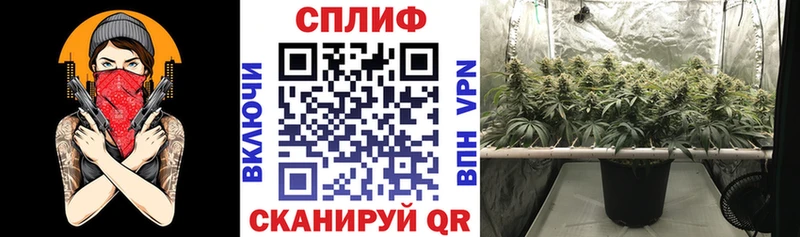 Каннабис Ganja Купить Новохопёрск
